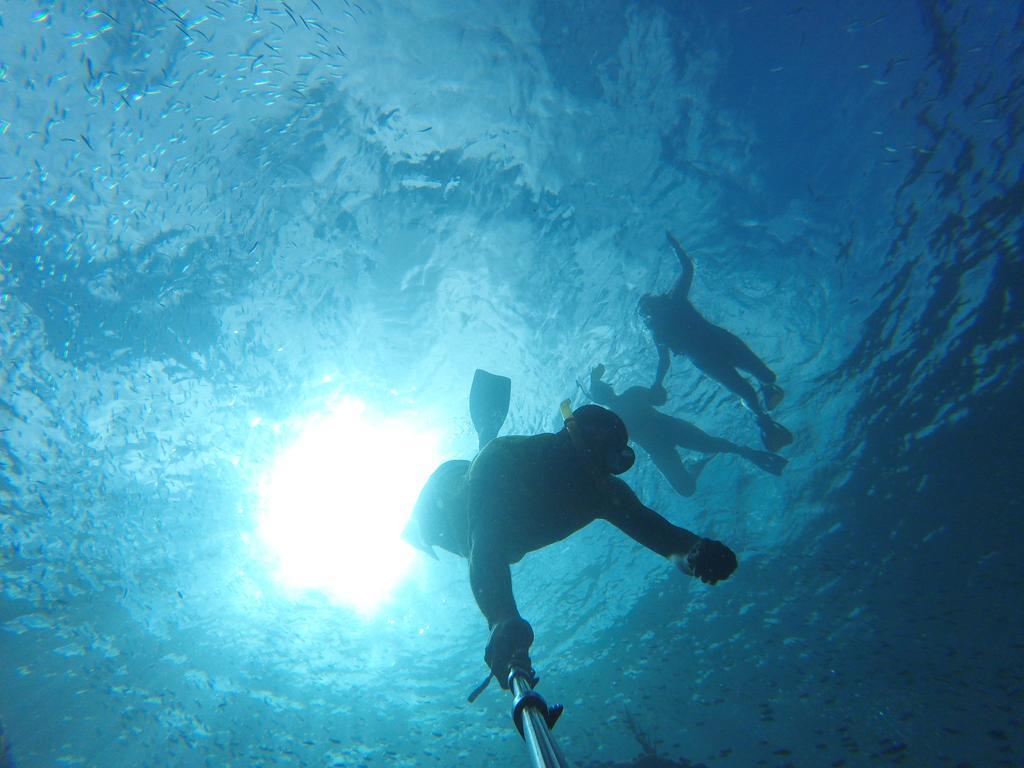 Fish Tobago Guesthouse Buccoo Bagian luar foto