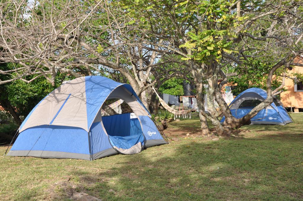 Fish Tobago Guesthouse Buccoo Bagian luar foto